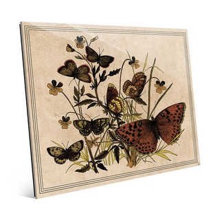 Butterfly and Clovers' Glass Wall Art