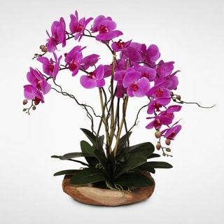 Real Touch Phalaenopsis Silk Orchid with Curly Willow and Succulents in Natural Teak Wood Bowl