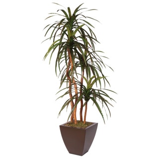 Silk Yucca Tree with Natural Wood Trunks in Metal Pot