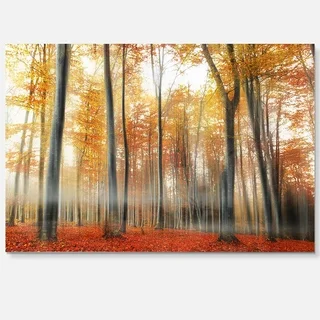 Red and Yellow Leaves in Fall - Landscape Photo Glossy Metal Wall Art