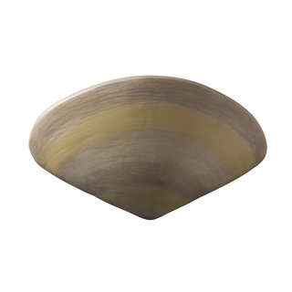 Justice Design Group Ambiance Clam Shell Wall Sconce