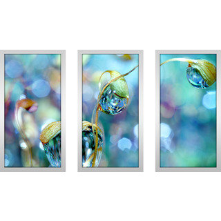 Sharon Johnstone "Rainbow Moss Drops" Framed Plexiglass Wall Art Set of 3