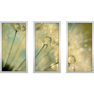 Sharon Johnstone "Dandy Drops & Sparkles" Framed Plexiglass Wall Art Set of 3