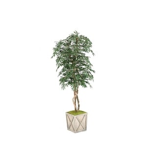 D&W Silks 7-foot Frosted Olive Tree in Weathered Wooden Box Planter