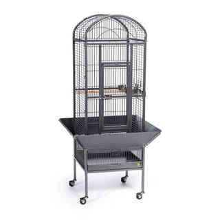 Prevue Pet Products Small Dometop Bird Cage