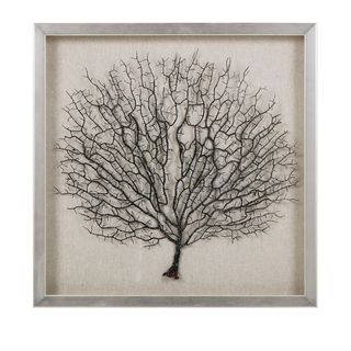 Bodaway Coral in Shadowbox with Frame (19.75 inches long x 19.75 inches high x 1.5 inches wide)