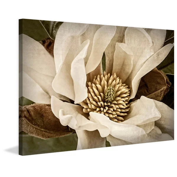 Marmont Hill - Handmade Classic Magnolia II Print on Wrapped Canvas