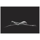 Leon Schr�der 'Bodyscape' Human Form Photography on Metal or Acrylic