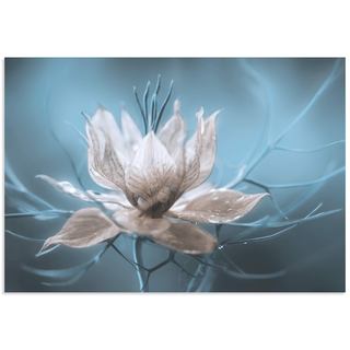 Mandy Disher 'Ice Flower' Frozen Flower Image on Metal or Acrylic