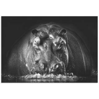 Gorazd Golob 'Hippo on Guard' Modern Hippo Art on Metal or Acrylic