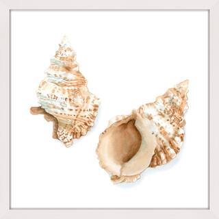 Marmont Hill - 'Watercolor Shells VII' Framed Painting Print