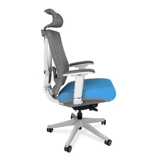 Autonomous ErgoChair - Premium Ergonomic Office Chair