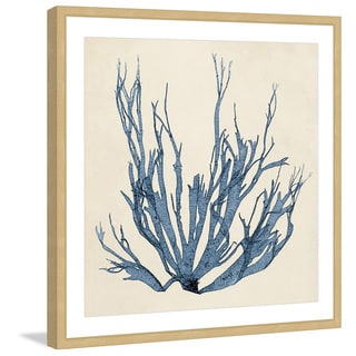 Marmont Hill - 'Coastal Seaweed I' Framed Painting Print