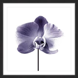 Marmont Hill - 'Smiling Iris' by Katarina Snygg Framed Painting Print