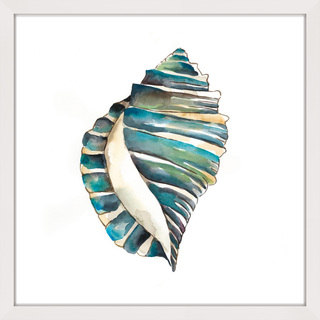 Marmont Hill - 'Aquarelle Shells I' Framed Painting Print