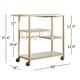 Metropolitan Gold Metal Mobile Bar Cart with Mirror Glass Top by INSPIRE Q
