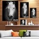 Designart 'White Horse Black and White' Extra Large Animal Artwork - Thumbnail 4