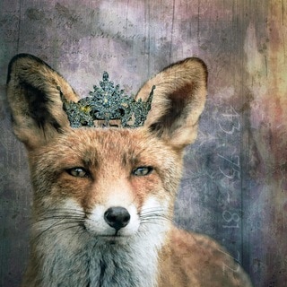 Marmont Hill - 'Queen Fox' by Morgan Jones Painting Print on Wrapped Canvas