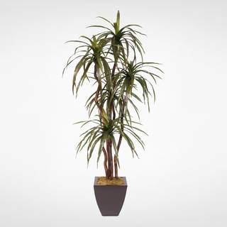 Silk 6-foot Yucca Tree with Natural Wood Trunk in Metal Pot