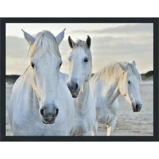 "White Horses" Framed Plexiglass Wall Art
