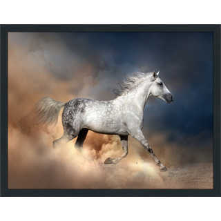 "Wild Horse" Framed Plexiglass Wall Art