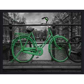 "Amsterdam Green Bike" Framed Plexiglass Wall Art