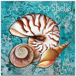 Megan Duncanson 'Sea Shells' Beach Decor on Metal or Acrylic