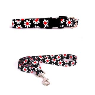 Yellow Dog Design Black Daisy Pet Standard Collar & Lead Set