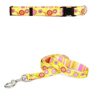 Yellow Dog Design Bouquet with Stripes Standard Collar & Lead Set