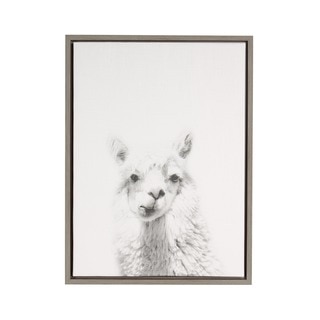 DesignOvation Simon Te 'Alpaca Portrait' Black/White Framed Canvas Wall Art