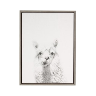 DesignOvation Simon Te 'Alpaca Portrait' Black and White Framed Canvas Wall Art