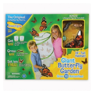 INSECT LORE Giant Butterfly Garden 18-inch Learning Set