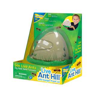 INSECT LORE AntHill Living Ant Habitat