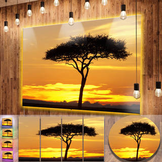 Designart 'Beautiful Sunset Through Acacia Tree' Extra Large African Landscape Metal Wall Art