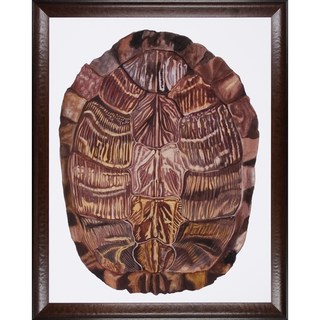 Art Virtuoso Naomi McCavitt 'Tortoise Shells' Framed Art Print