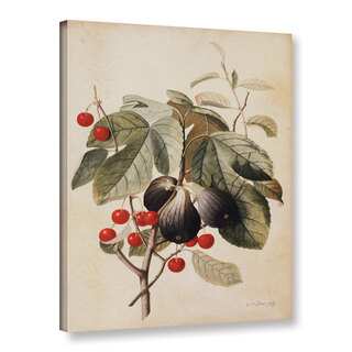 Georg Dionysius Ehret's ' Figs and Cherries,1747' Gallery Wrapped Canvas