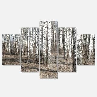 Designart 'Beautiful Dense Birch Forest View' Modern Forest Glossy Metal Wall Art