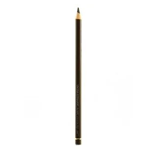 Polychromos Artist Burnt Umber Colored Pencils (Pack of 12)