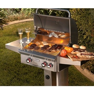 American Outdoor Grill 24 inch T Series In-Ground Post Grill with Rotisserie