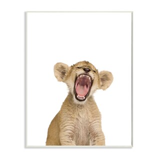The Kids Room by Stupell 'Baby Lion Cub' Studio Photo Wall Plaque Art
