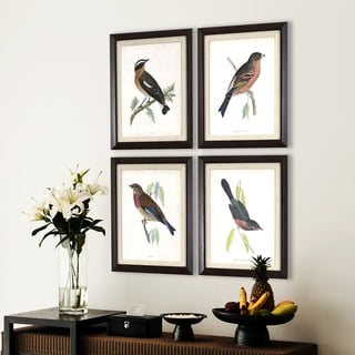 Set of 4 Antique Bird Studies in Dark Woodgrain Finish Frame