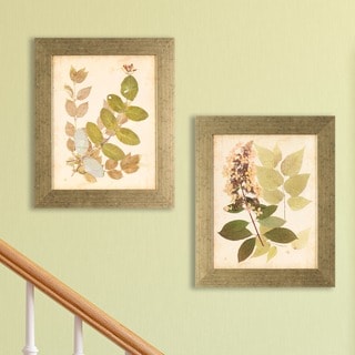 Set of 2 Nature's Collage in Distressed Silver Finish Frame