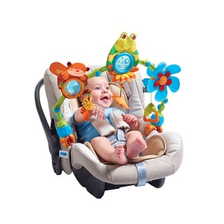 Car Seat & Stroller Toys