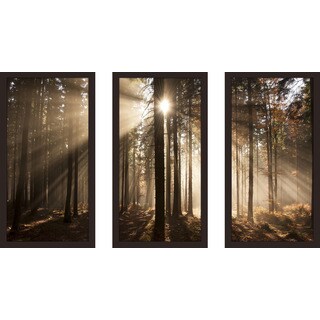 Autumn morning in forest' Framed Plexiglass Wall Art (Set of 3)