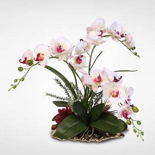 White and Pink Tone Real Touch Silk Phalaenopsis Orchid with Succulent on a Gold Leaf Metal Tray