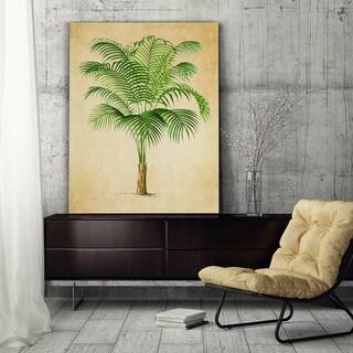 Vintage Palmary ( Palm Tree ) Sketch I - Premium Gallery Wrapped Canvas