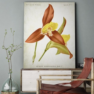 'Botanical Plate XXIII' Canvas Wall Art