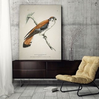 Wexford Home 'Aviary Plate V' Gallery-wrapped Canvas Art
