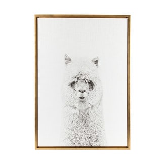 DesignOvation Simon Te Tai 'Sylvie Hairy Alpaca Black and White Portrait' Gold Framed Canvas Wall Art