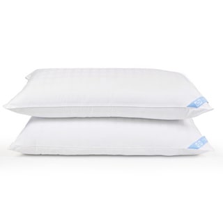 Sealy Classic 300 Thread Count King Size Pillow (Set of 2)